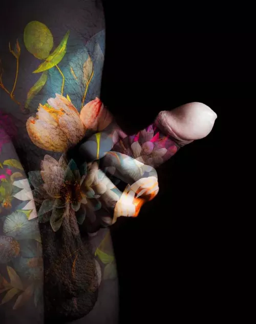 A Bouquet of Flowers