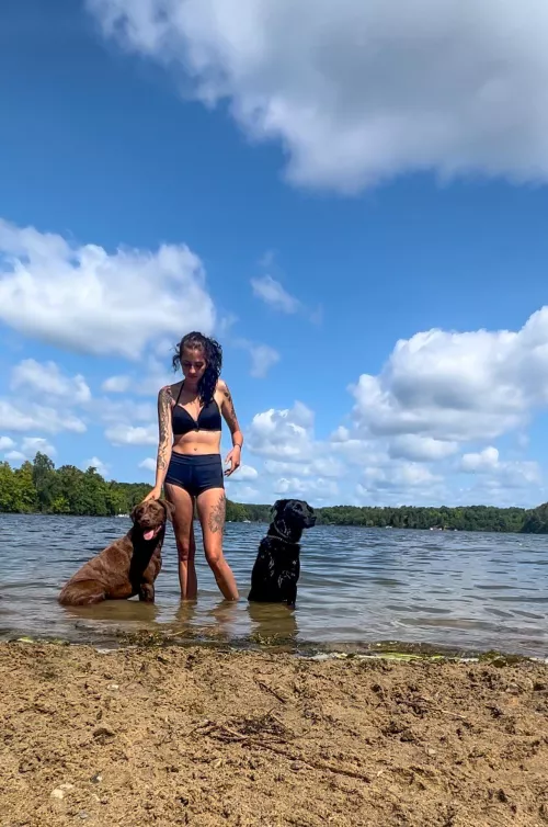 Beach day with the dogs
