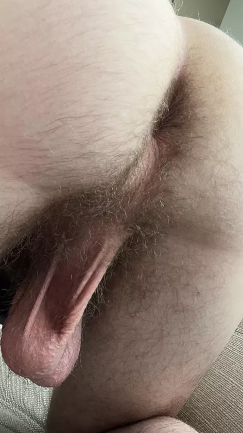First post, am I hairy enough?