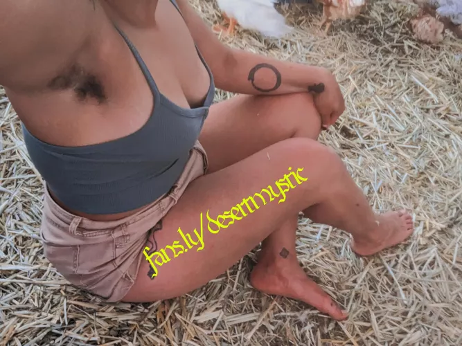 Hanging out with my chickens 🐔