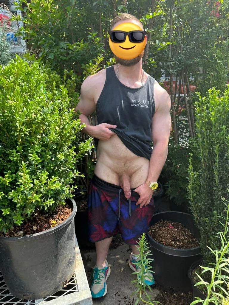 Having a little fun at the garden center - meet me in the bushes?