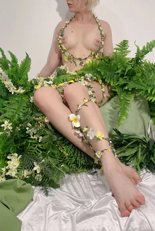 I am a wild kitty who wants to be tamed