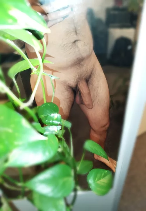 I'm both a shower and a grower, DM for hard ;)