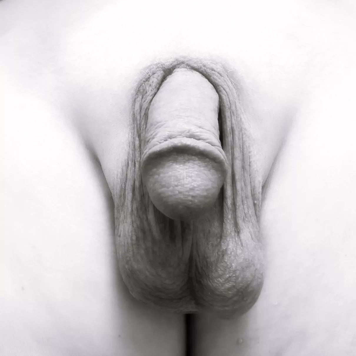 Life is better in B&W. Do you agree? [M50]