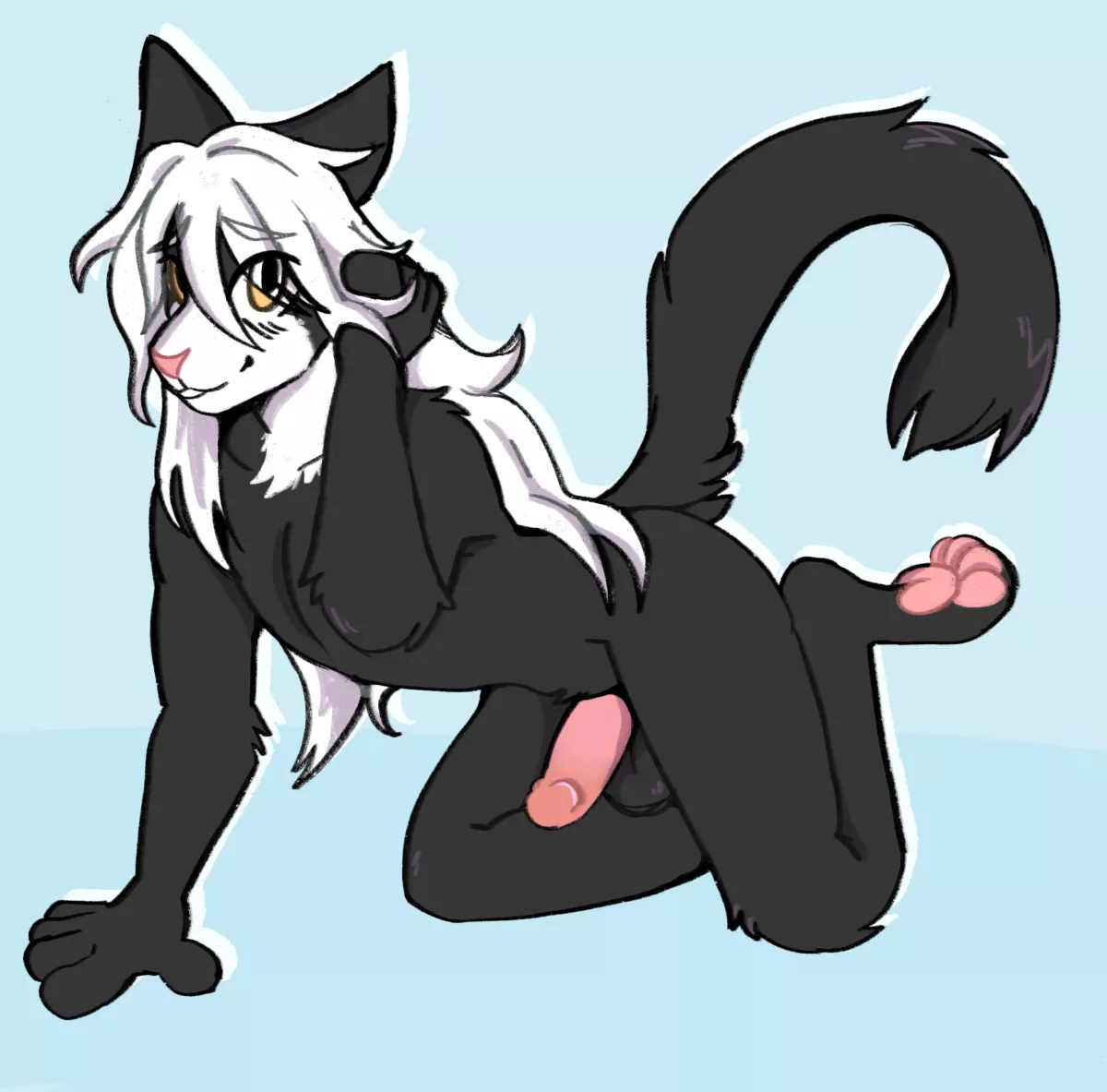 Like what ya see ( Knight )