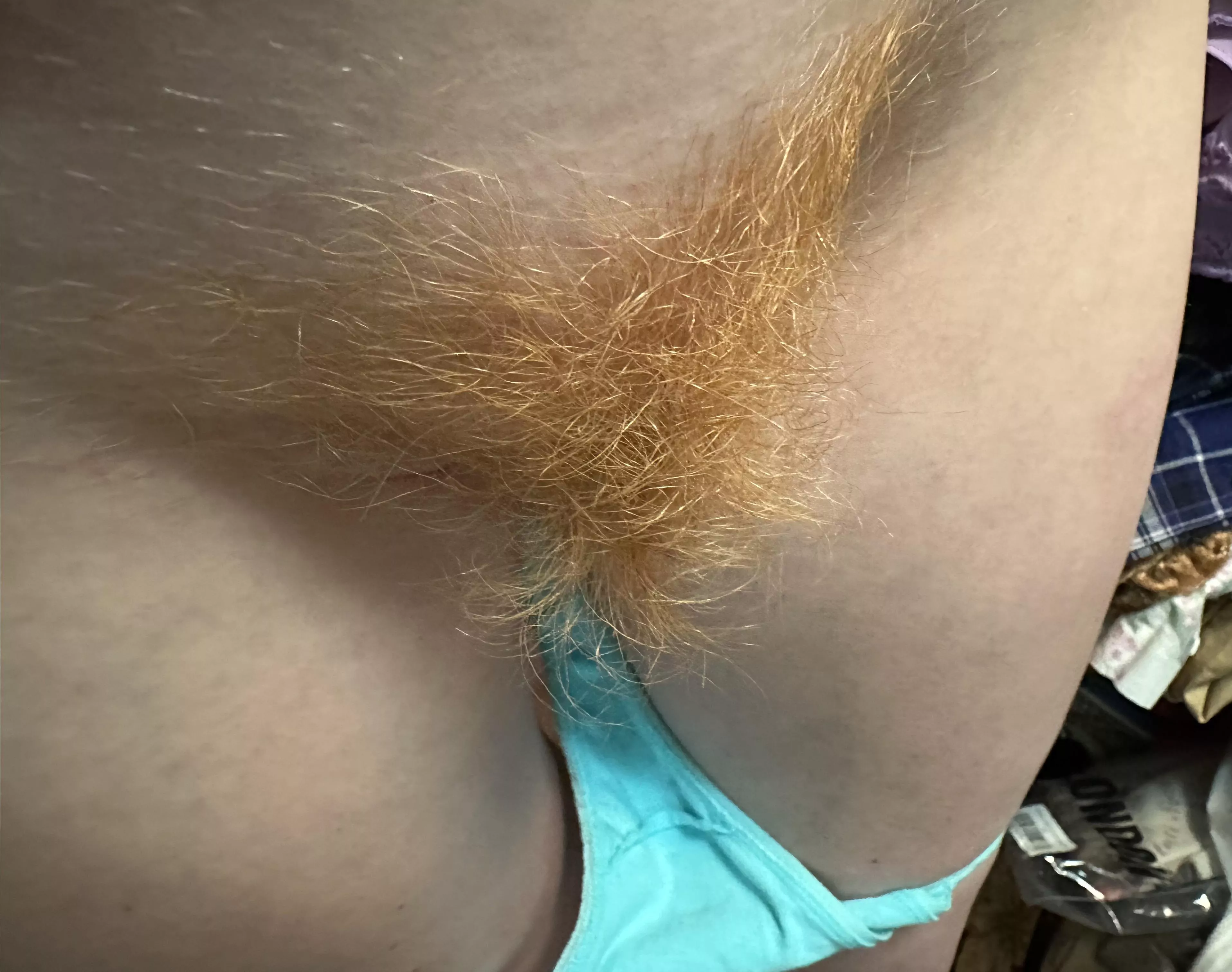 Redhead Bush