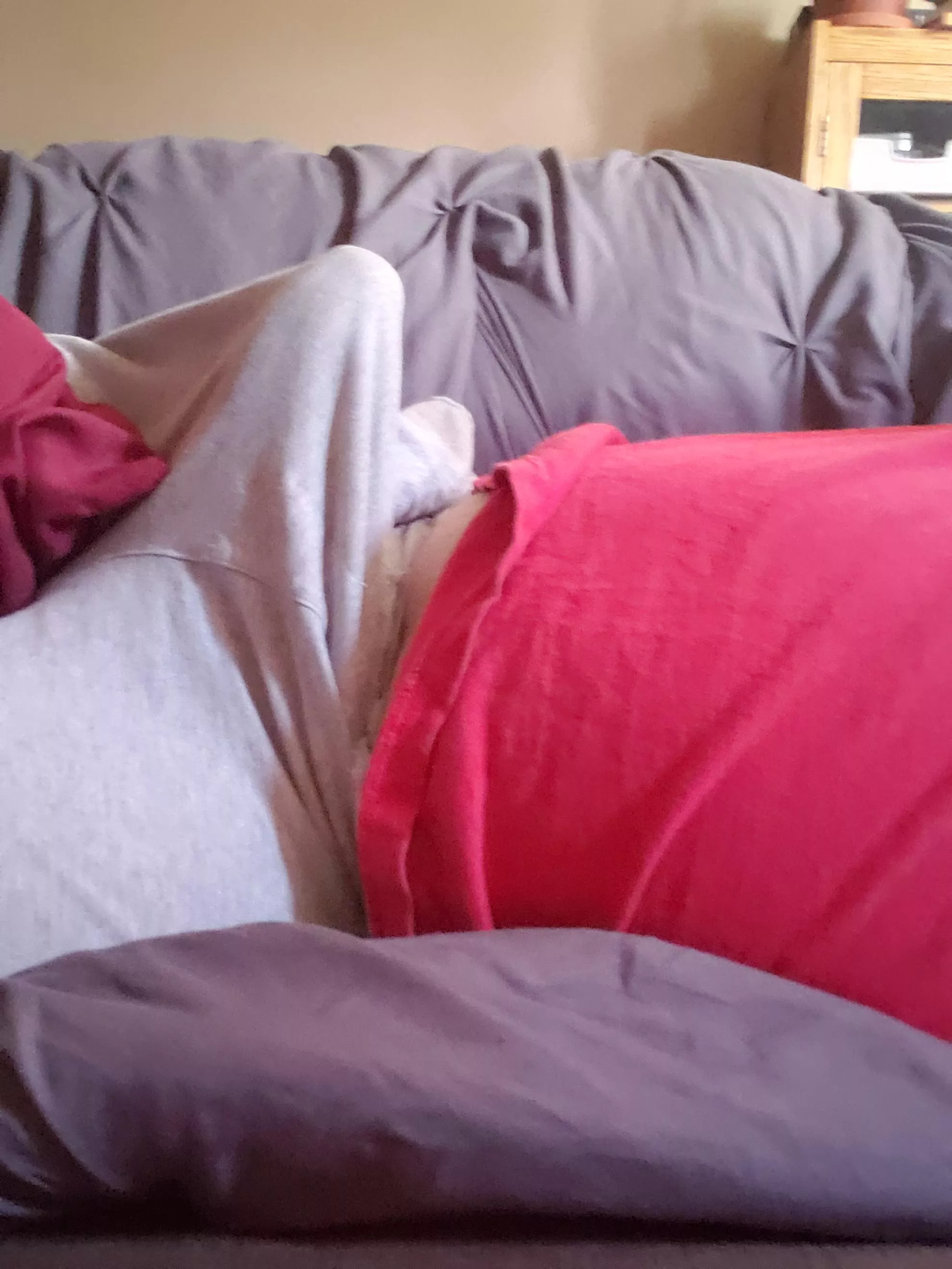 The morning wood was strong today