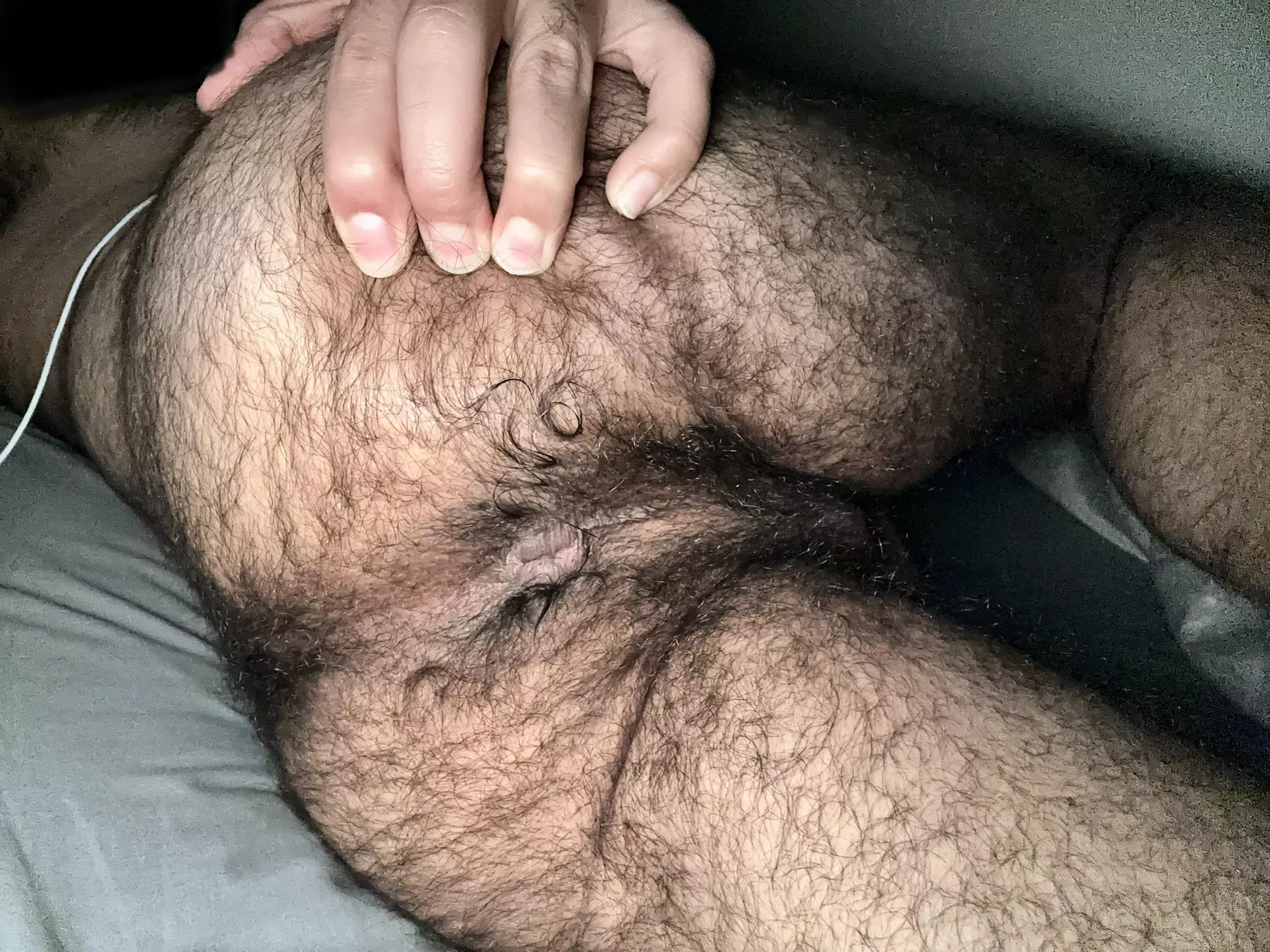 Would you breed or rim?