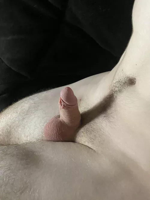 Young fully hard cock