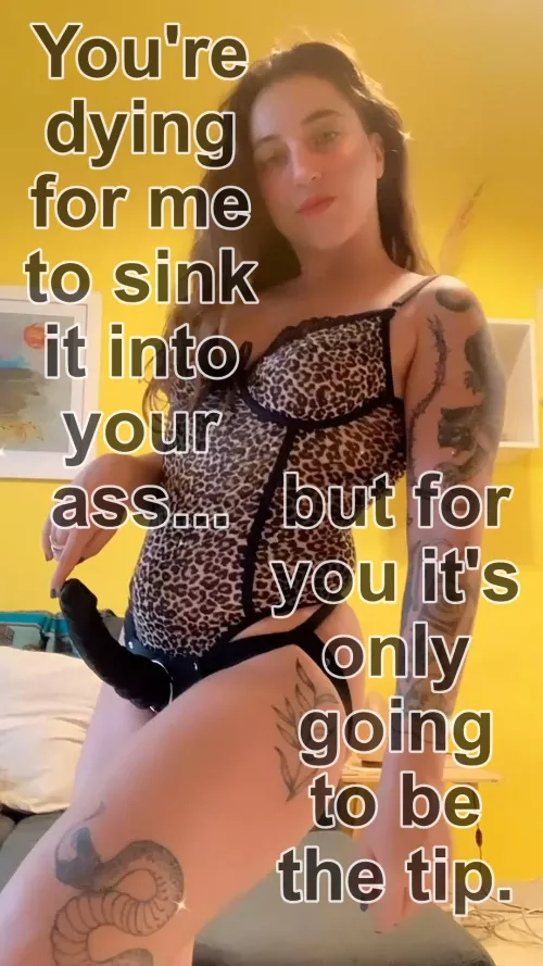 Just the tip for you