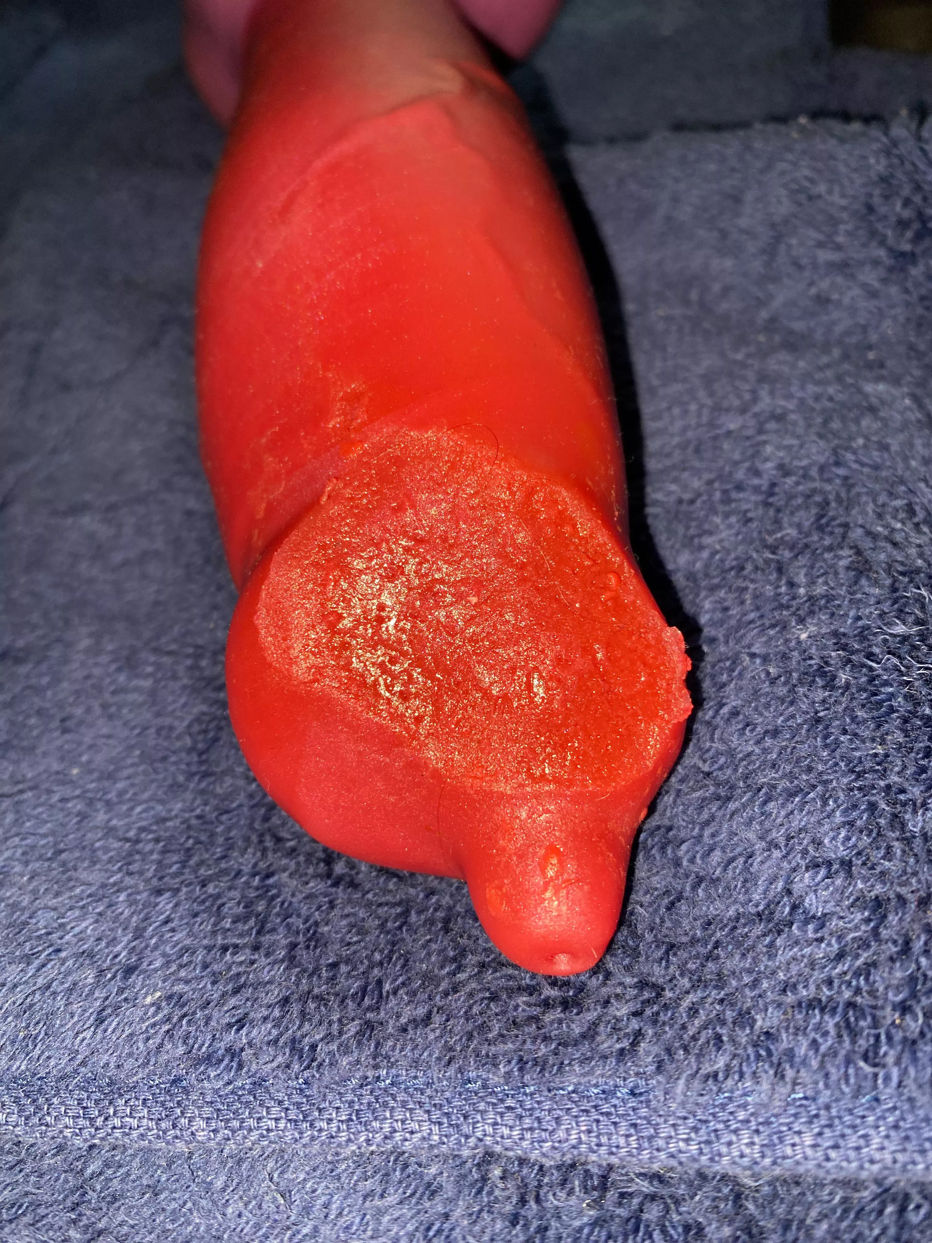 Large Rex (BD) melted… looking for advice!