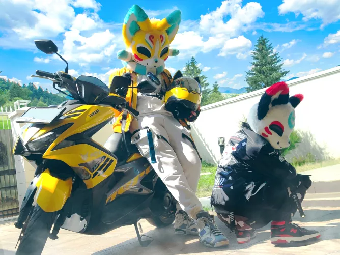 Meanwhile, in Japan (@Kurarifox on Twitter)