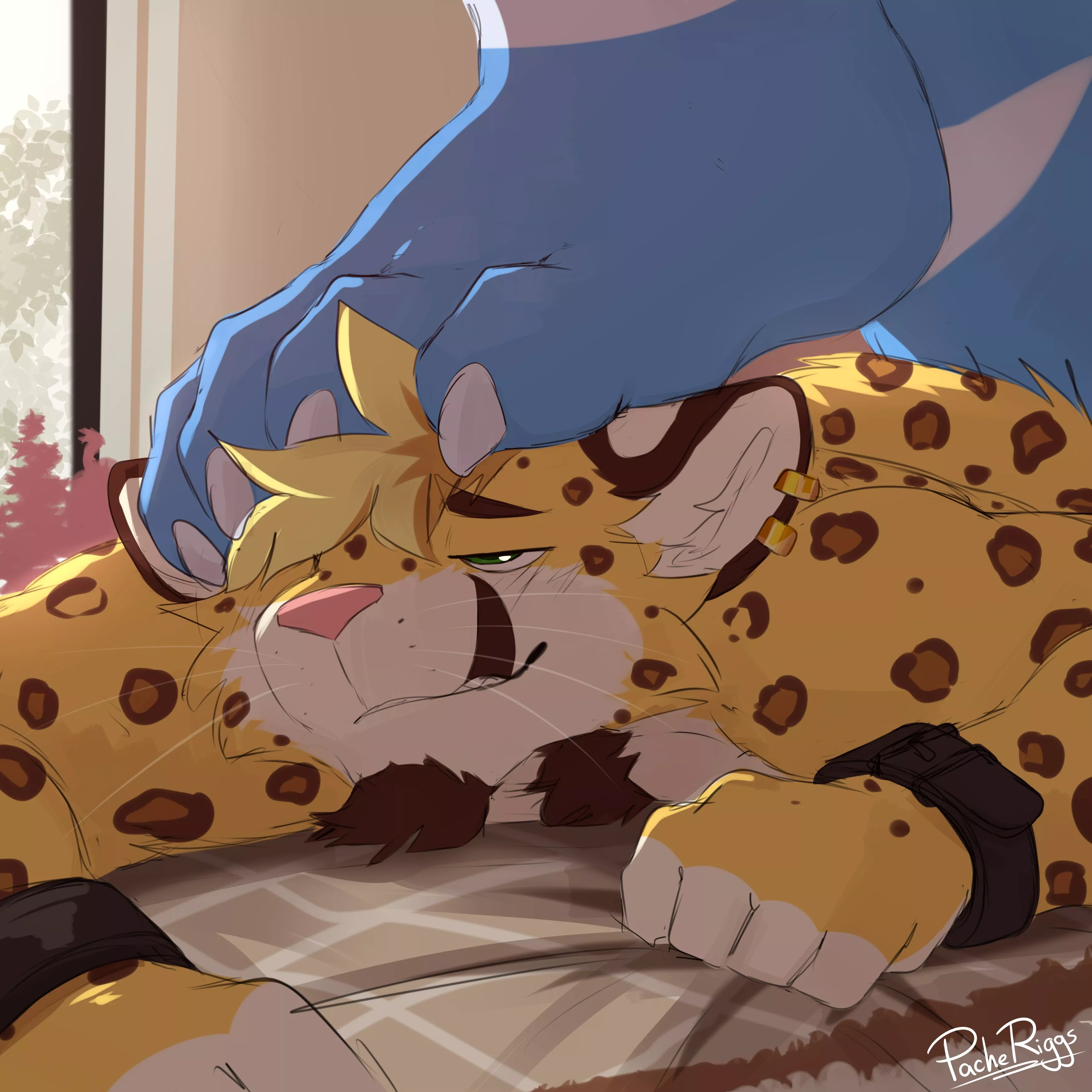 Stay There (Pache Riggs) [MM]