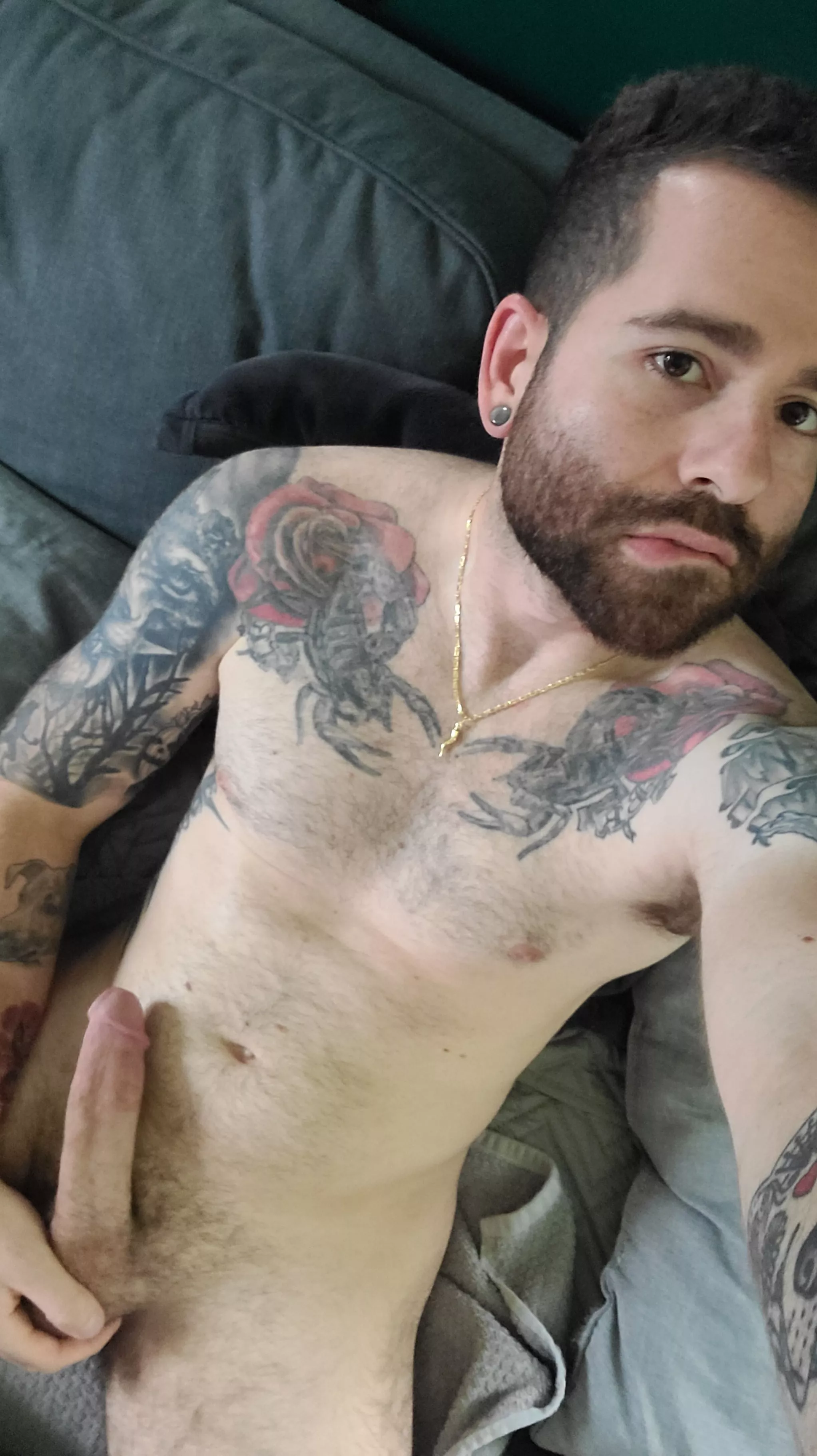 Would you let me fill all of your holes?