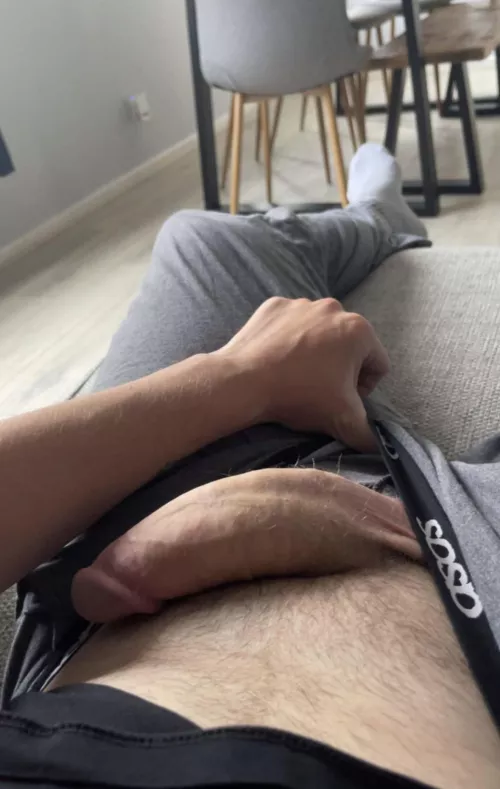 22 uk 9 inch hung jack_lions9inc