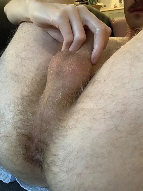 23, college guy, trying to get used to playing with my ass
