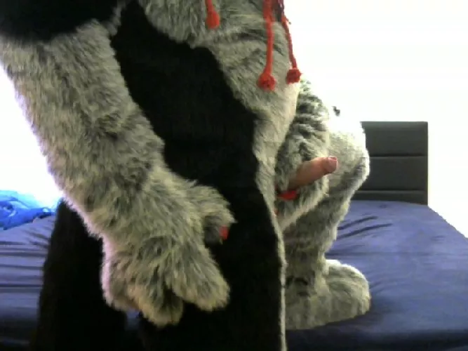 looking for a wet and warm place to bury this