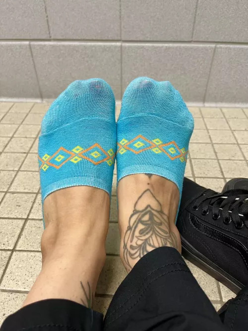 💙 ped socks, black vans