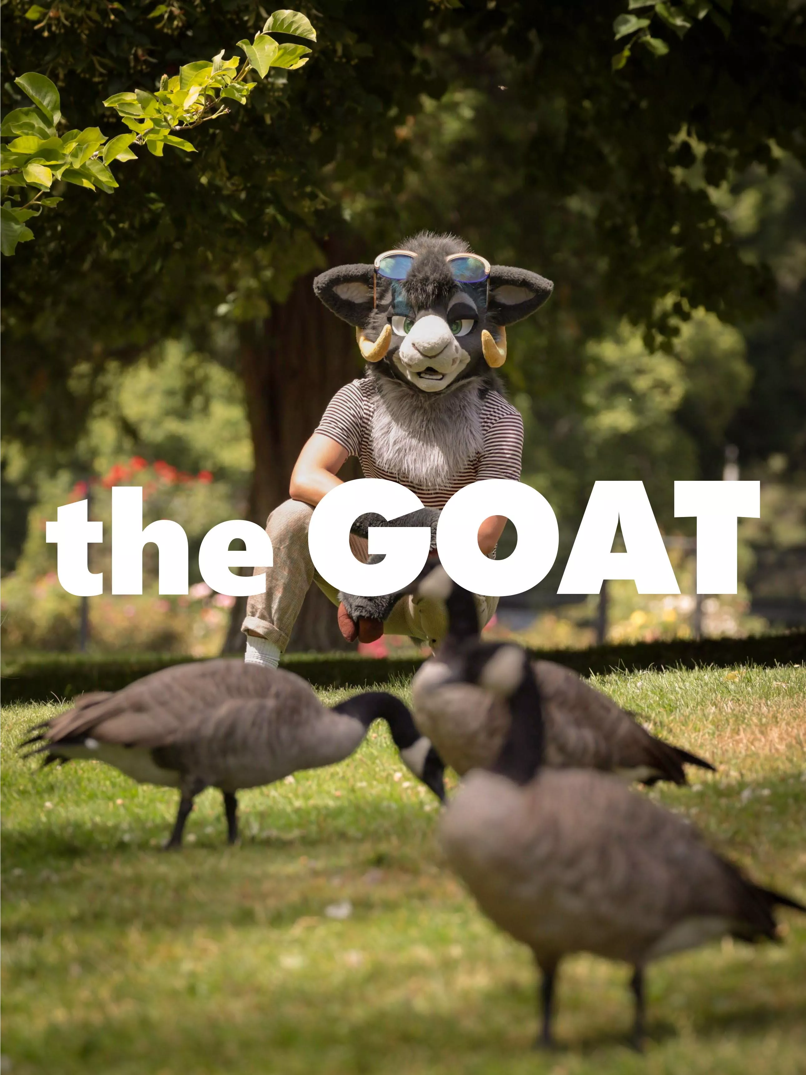 Sheep in Wolf’s Clothing