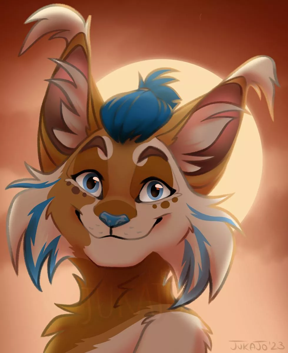 Sunrise Lynx [art by me, @JukajoArt on Twitter]