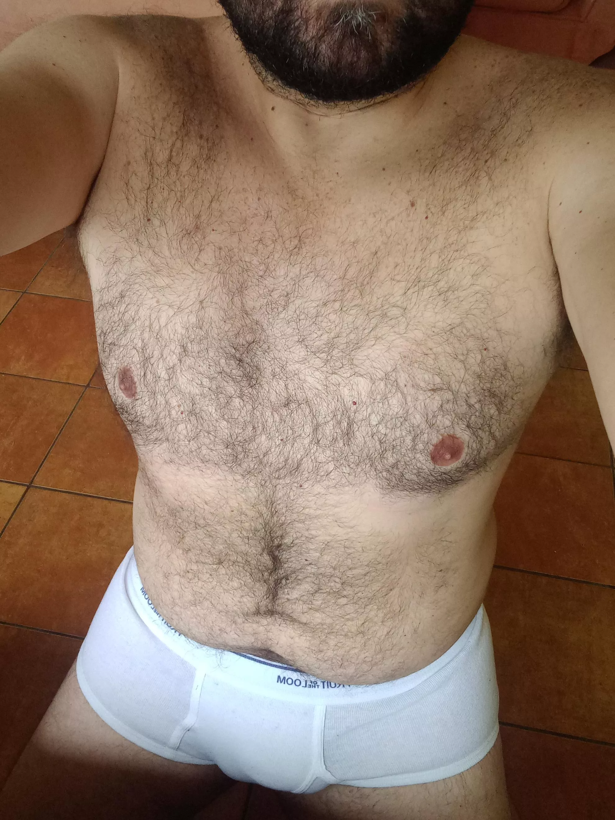 Teletravail im briefs [37]