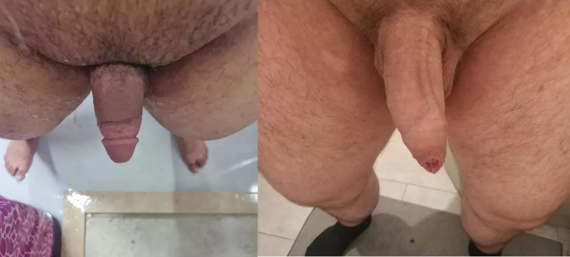 An easy victory against u/amr-27. Realized that I don't even have to get really hard when saw his toadstool 🍄. So my lazy semi easily destroyed his fully 