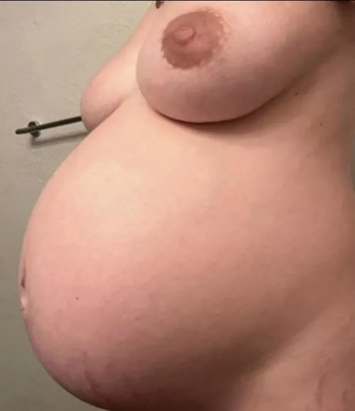 Breeding status:Expert. Who needs training?