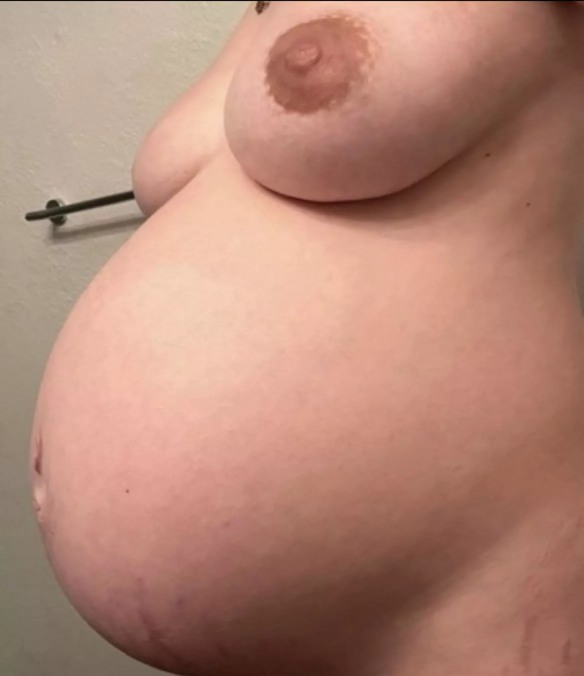 Breeding status:Expert. Who needs training?