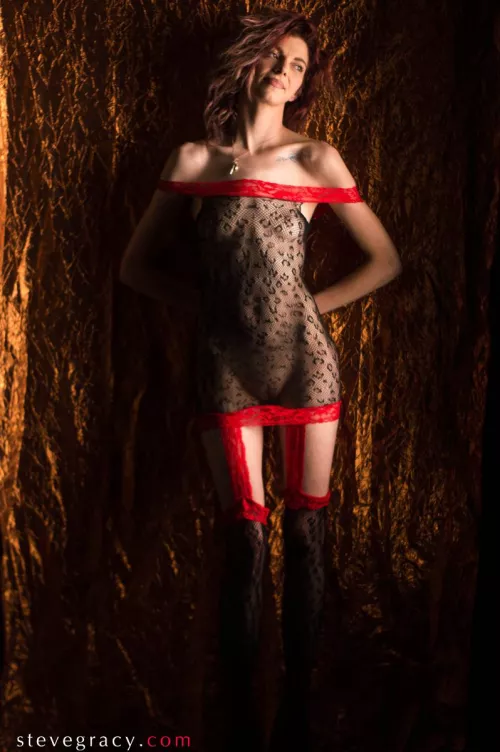 Cassandra in cheetah