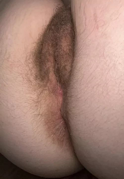 I could keep your nose warm whilst you eat my ass