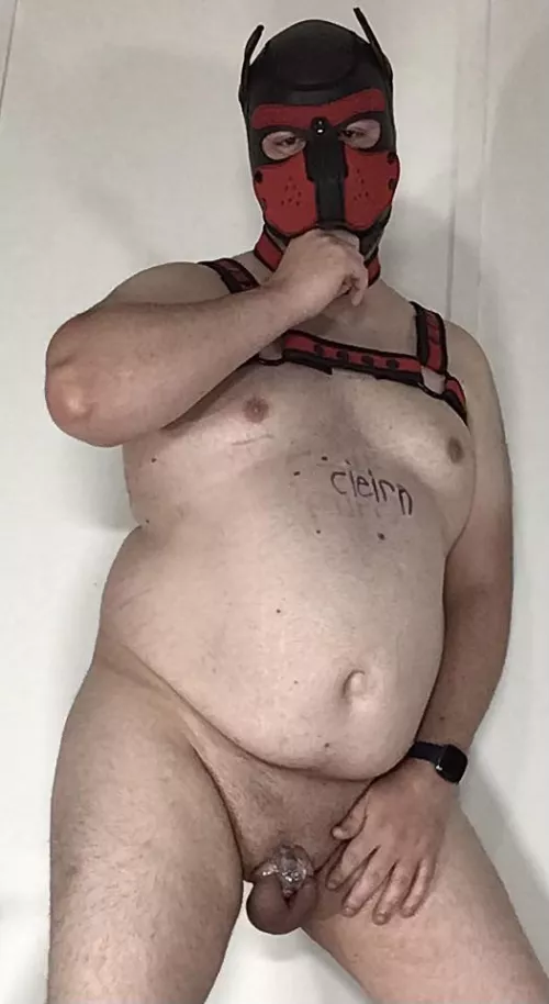 Keyholder required I share a puppy pic here