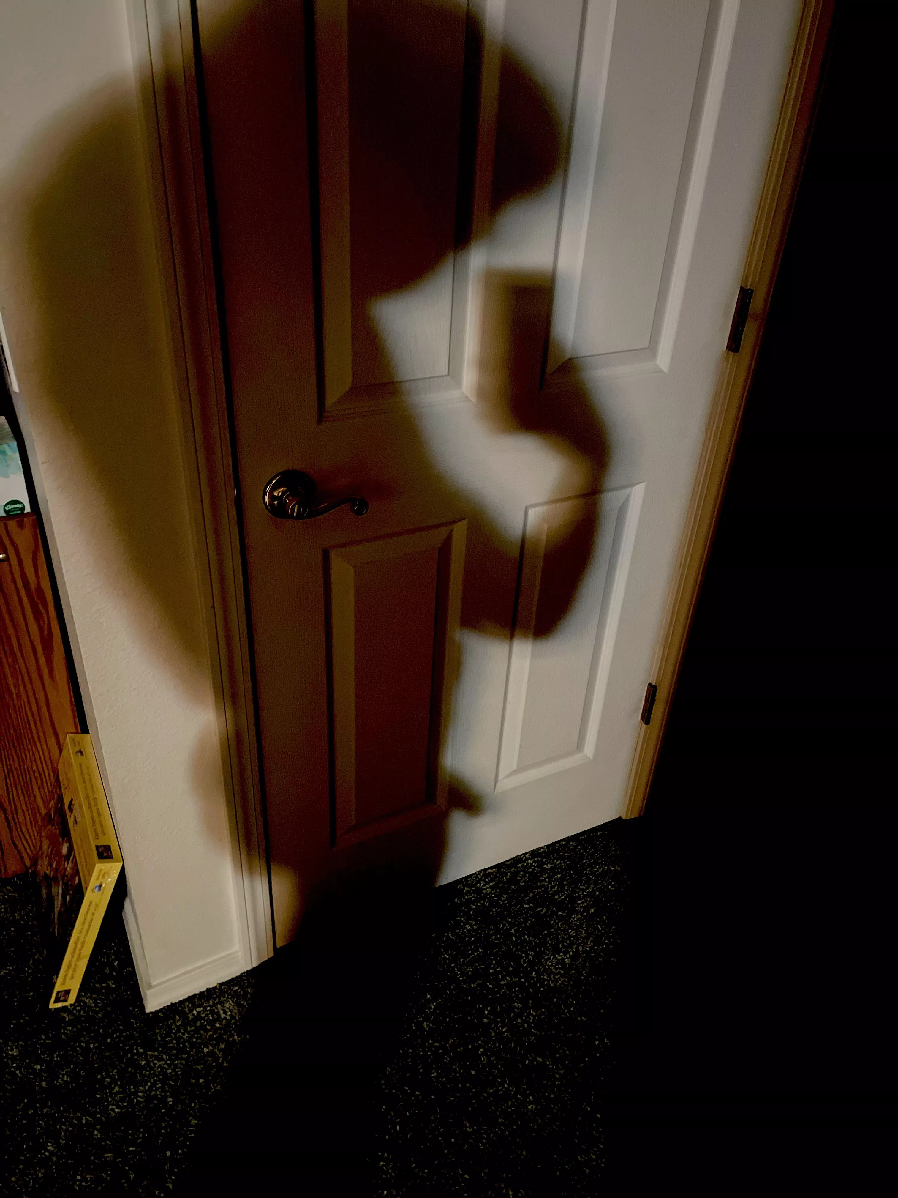 Lurking in the shadows