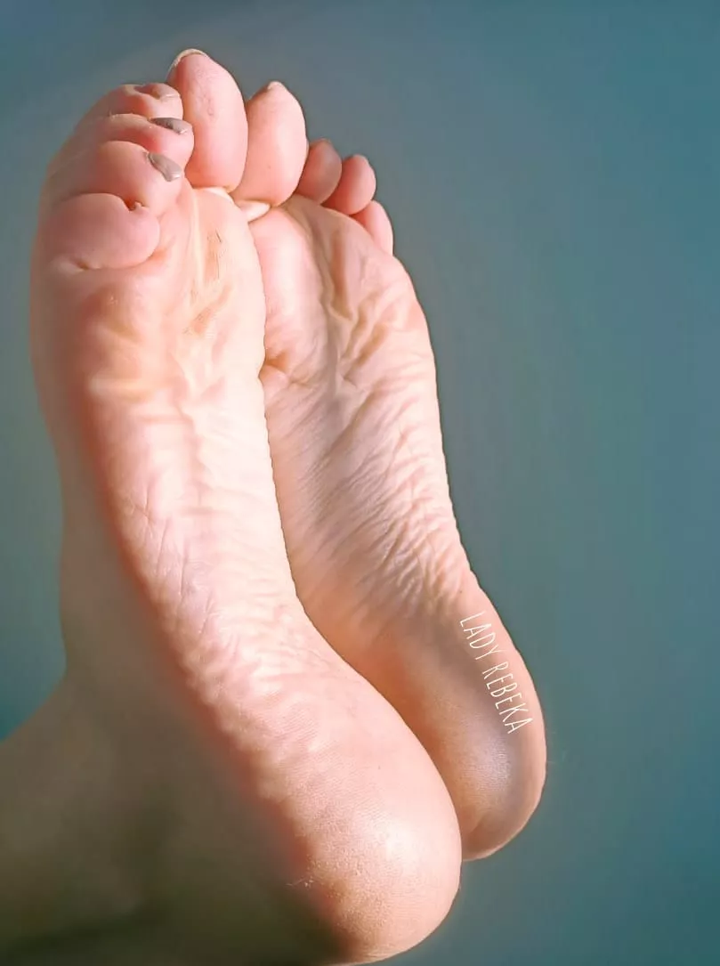 Morning Sun Salutation [OC]