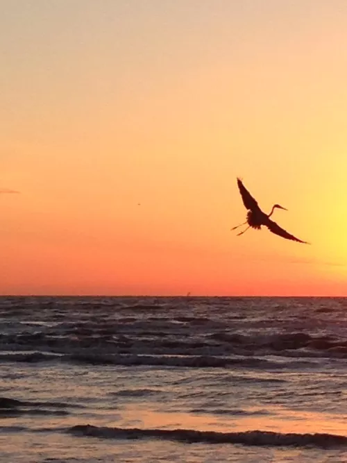 One of my favorite morning pics