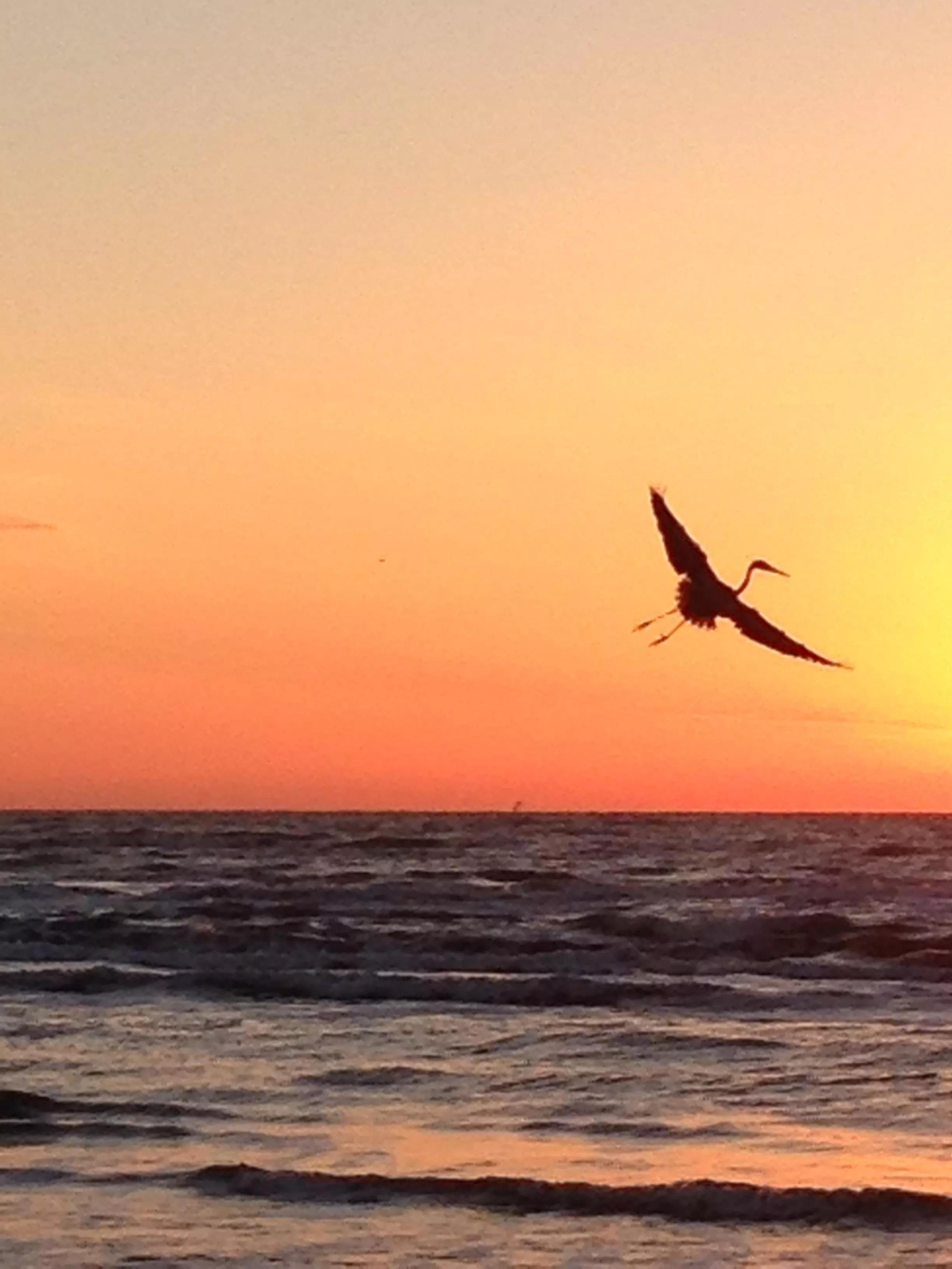 One of my favorite morning pics