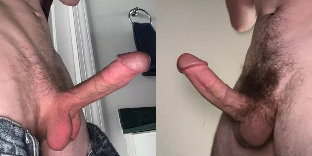 Which cock would you rather , left or right?