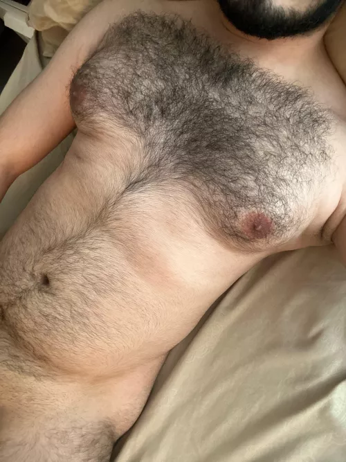27 sc: gayhairyvers