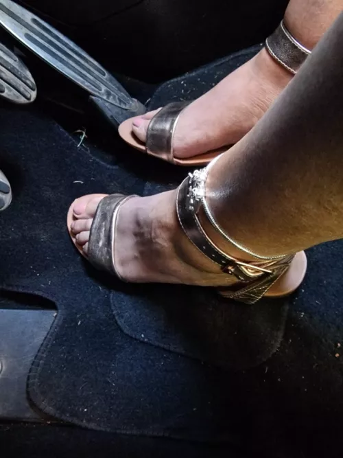 Another from the wife