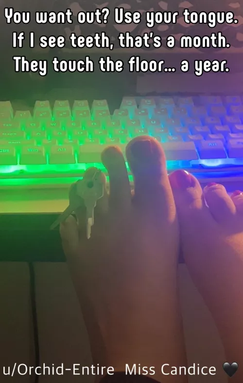 Best of luck on your escape 😈 🔐 👅