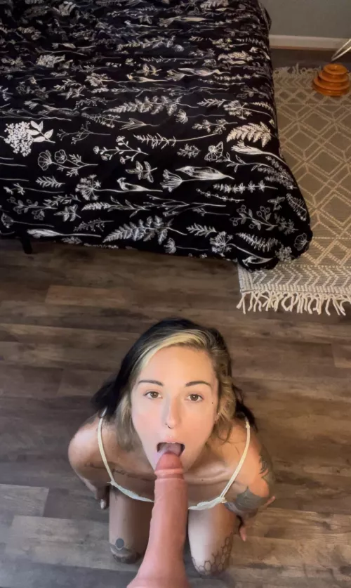 do you like this view?