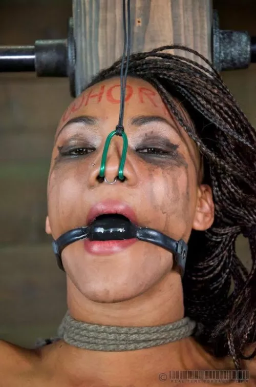 Gagged and nosehooked slut