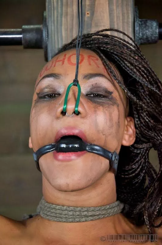 Gagged and nosehooked slut
