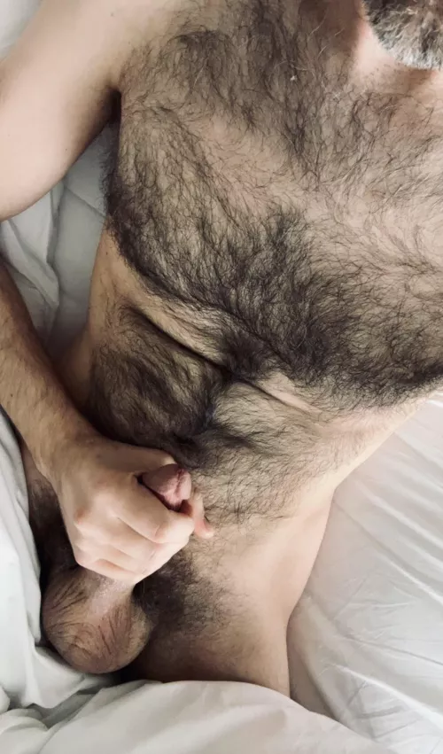 Get me hard & let me fuck you.