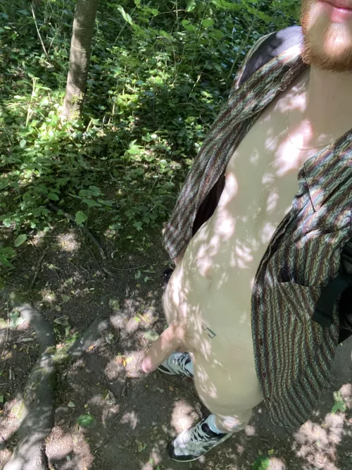 More walks in the sun