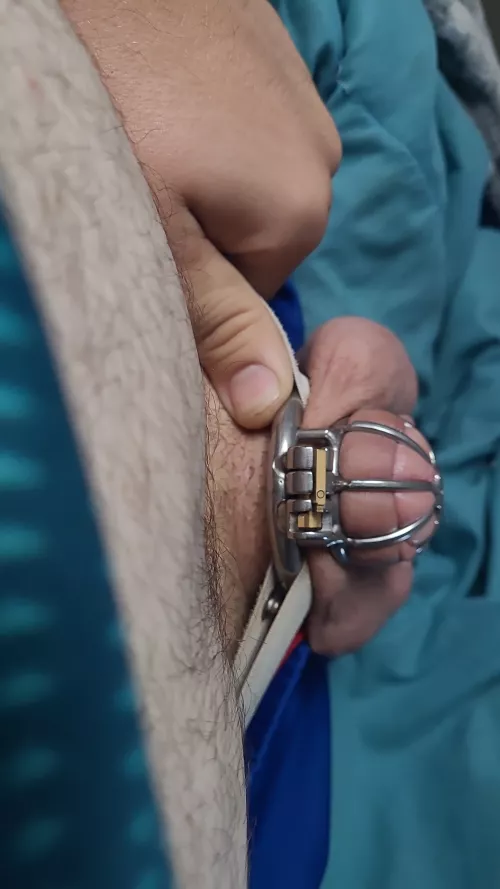 Day 17✅️ day 9 without cumming