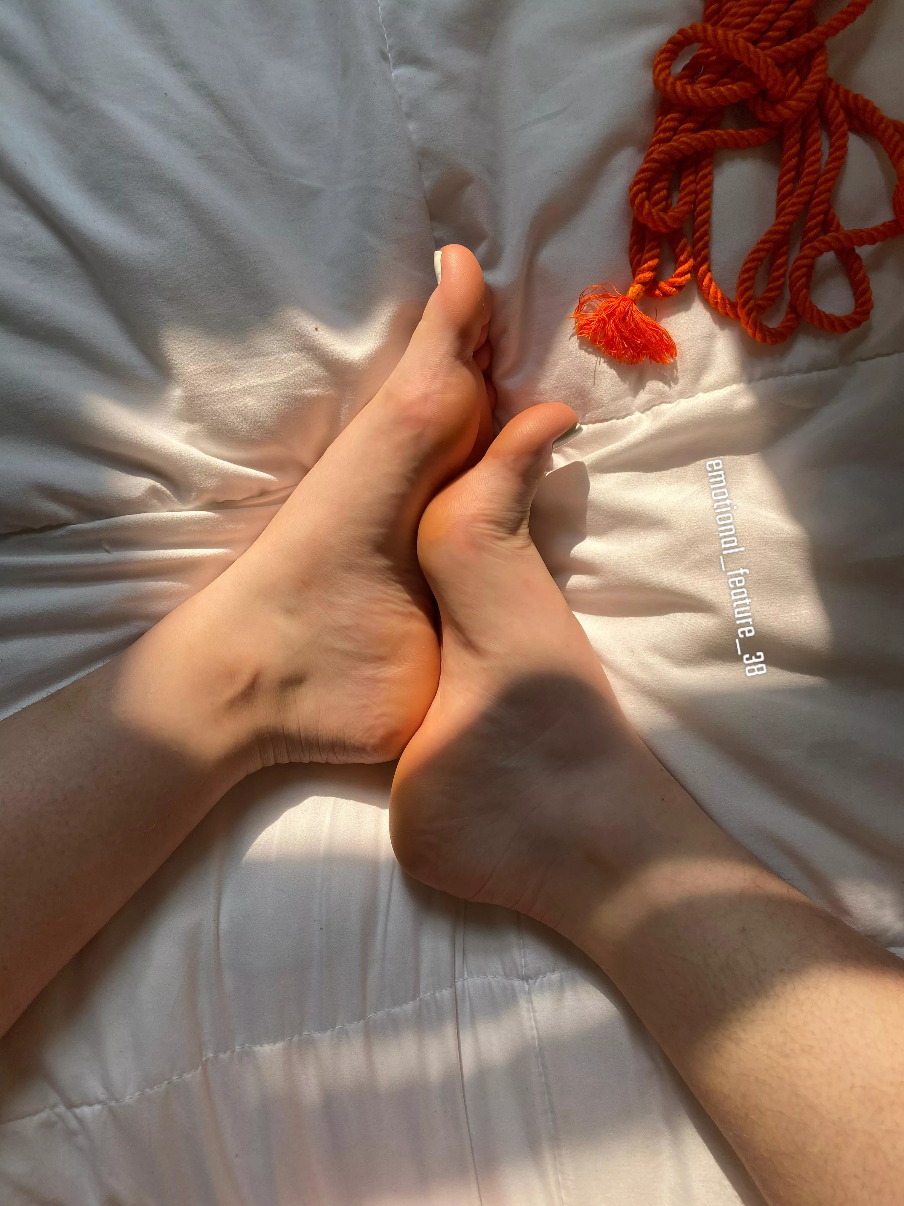 I want you to run your fingers along my arches