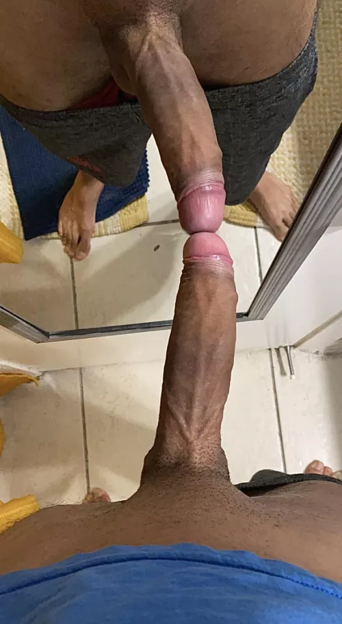 It loves checking itself out