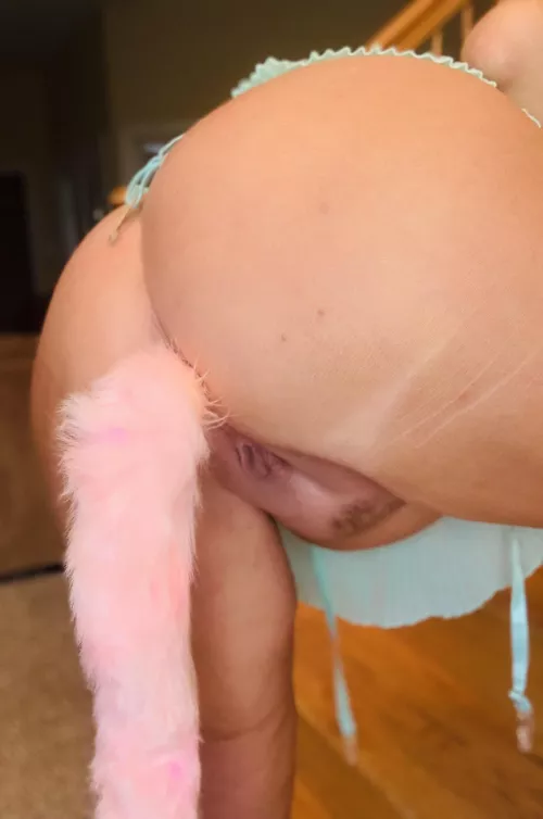 Replace my tail or keep it in