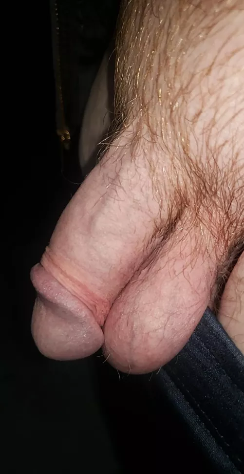 Who wants to make me hard?