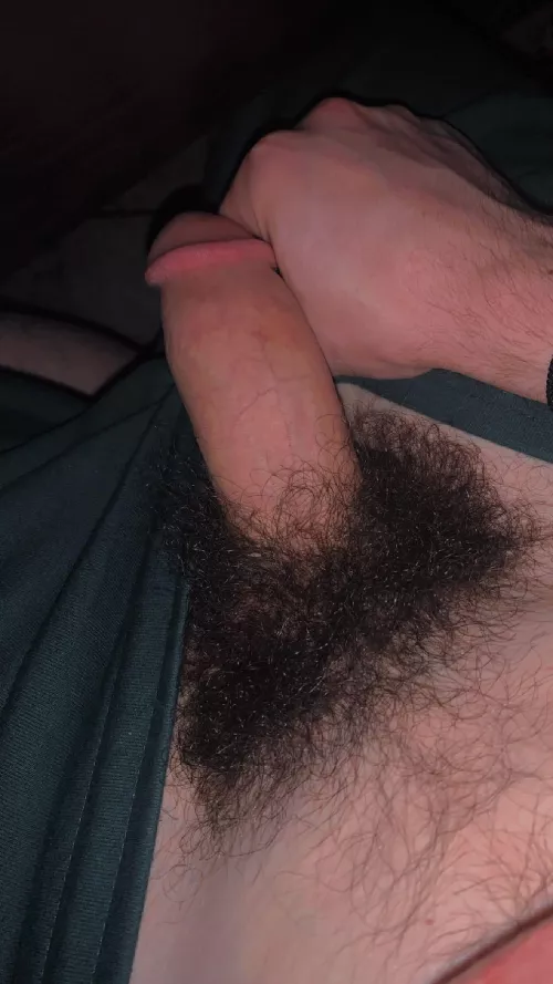 Any big fuzzy bears wanna own me?🥺